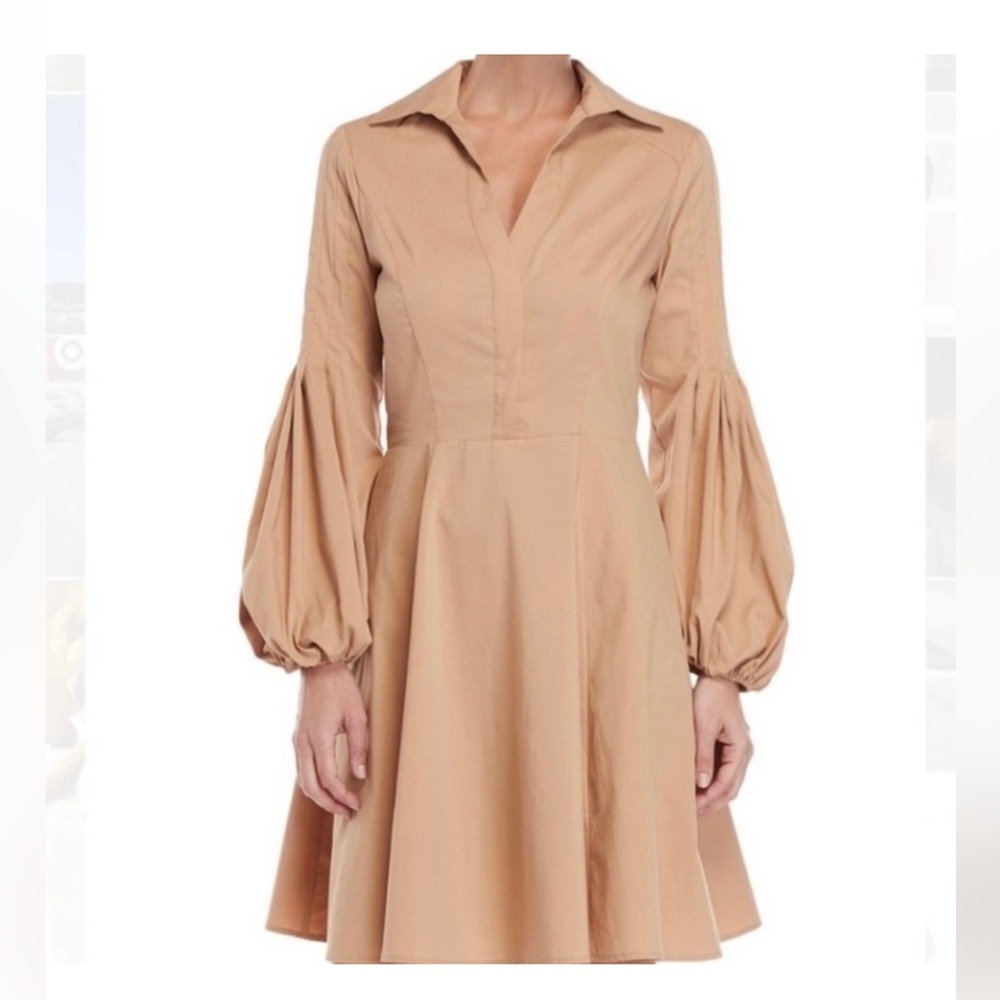 🍁 Anthropologie Adria Moss Balloon Sleeve Dress 🍁
